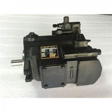 PAKER F12-040-MF-IV-K-000-000-0 Piston Pump
