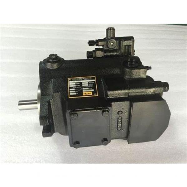 PAKER PV023 R1K1T1NMMC Piston Pump #2 image